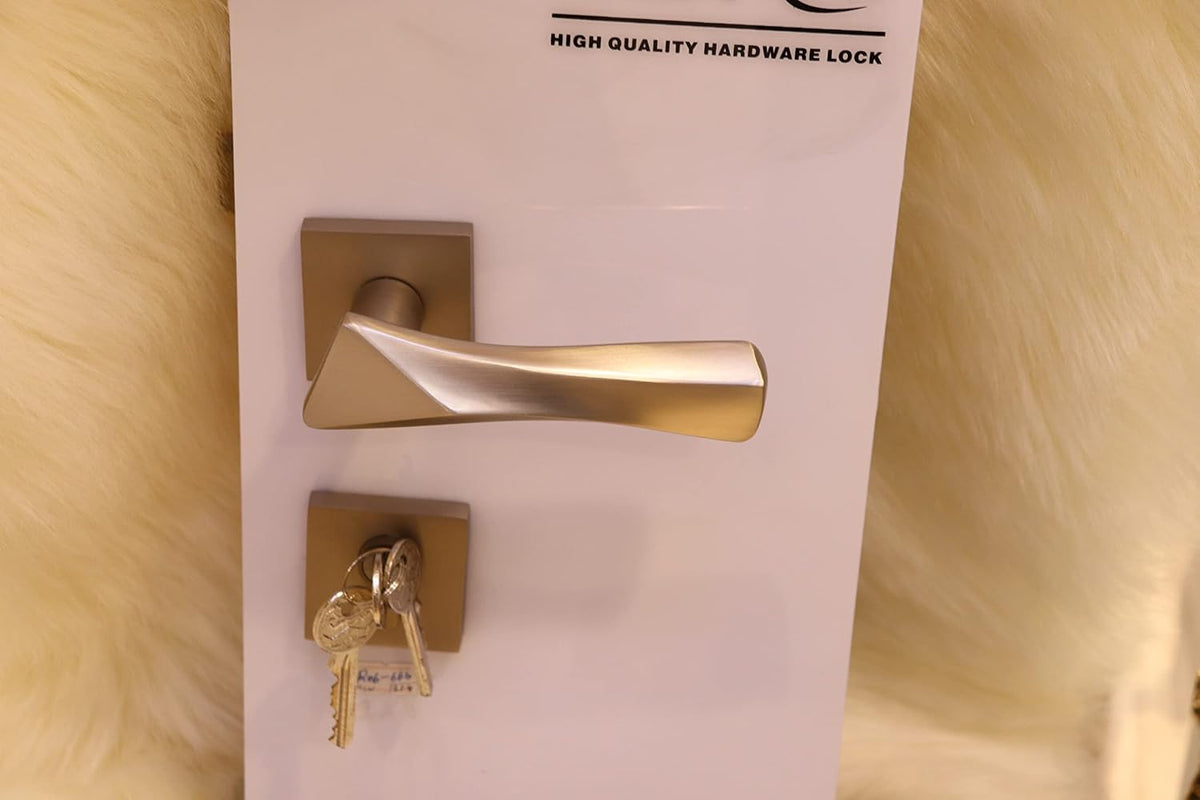 Vila Door handle Zinc Alloy Durable for All Kinds Of Indoor Doors (1-pec) Colour: Mat Silver|R06-666|