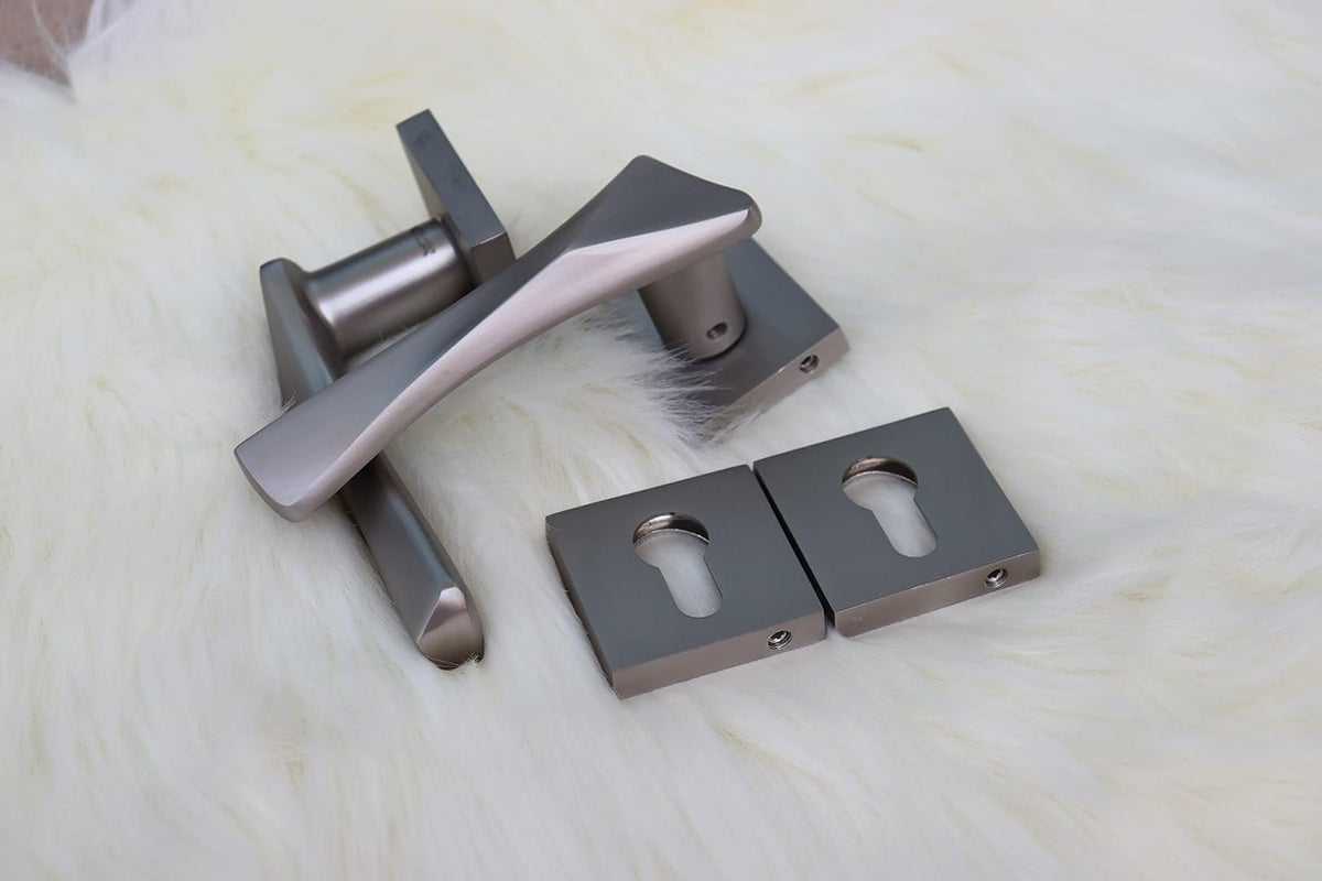 Vila Door handle Zinc Alloy Durable for All Kinds Of Indoor Doors (1-pec) Colour: Mat Silver|R06-666|