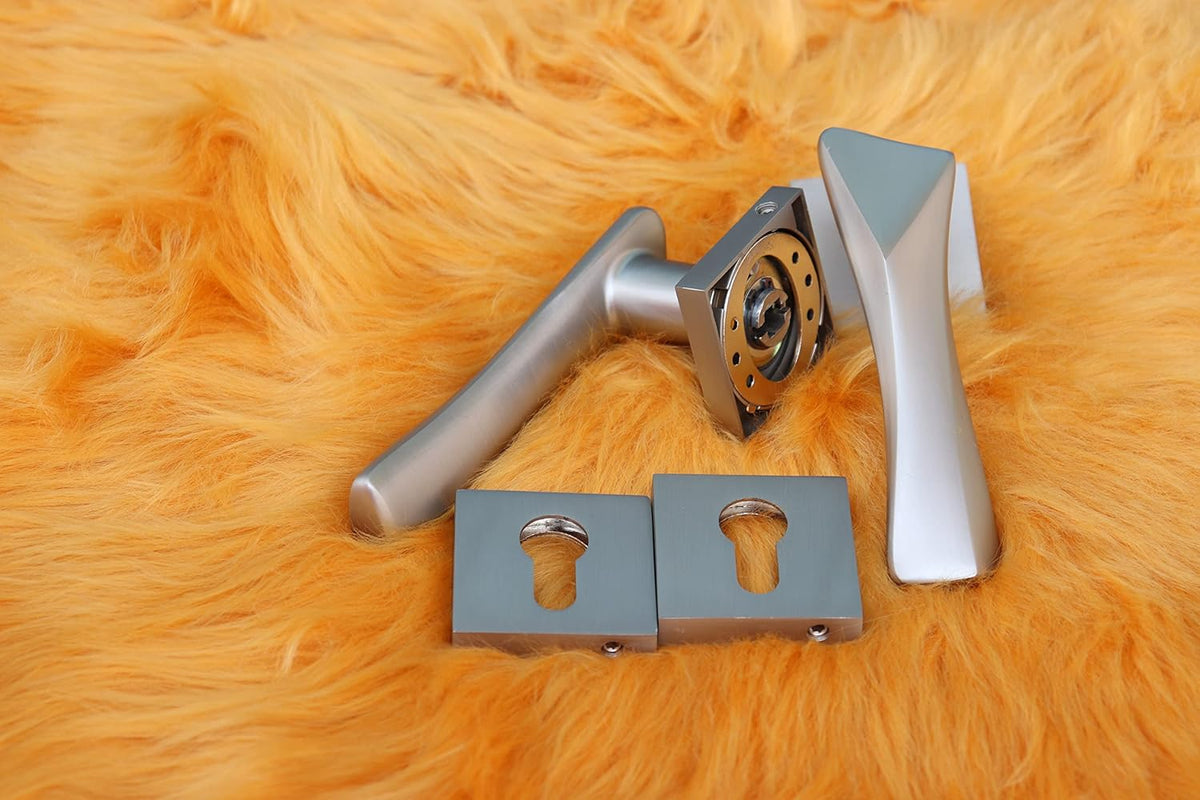 Vila Door handle Zinc Alloy Durable for All Kinds Of Indoor Doors (1-pec) Colour: Mat Silver|R06-666|