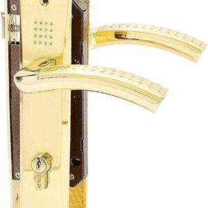 Door Handle and Lock Complete Set -Gold -25 X 5 X 3cm